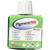  Pigment Mix 80ml, 20 verde G