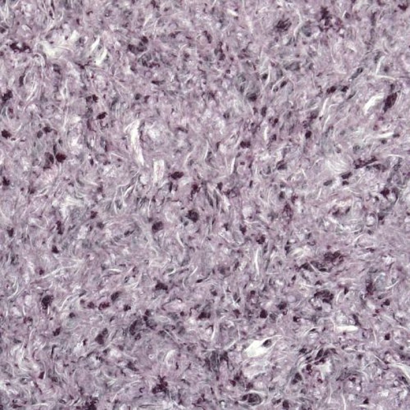 Tapete lichide Vesta 2, 1 kg