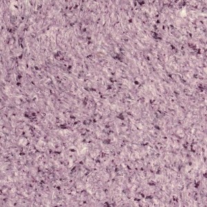 Tapete lichide Vesta 3, 1 kg