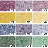 Tapete lichide Vesta 6, 1 kg
