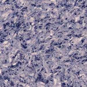 Tapete lichide Vesta 8, 1 kg
