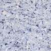 Tapete lichide Vesta 9, 1 kg