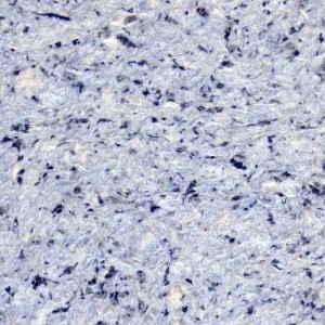 Tapete lichide Vesta 9, 1 kg