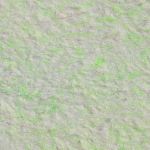 Tapete lichide Lana 9, 1 kg