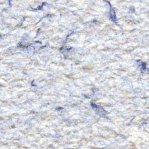 Tapete lichide Color 2, 1 kg