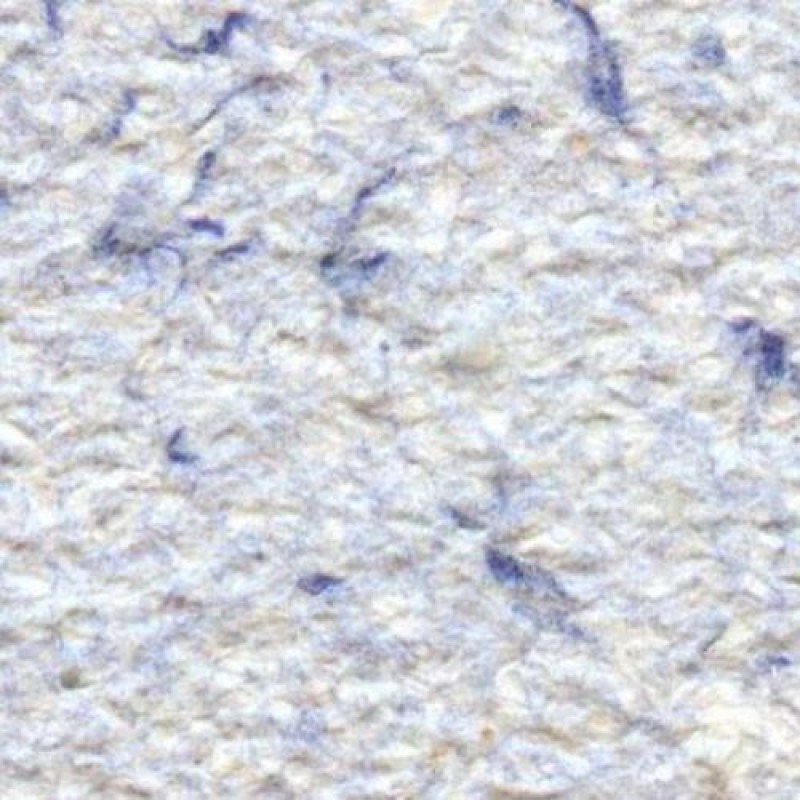 Жидкие обои  Color 2, 1 кг