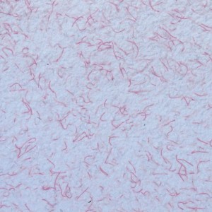 Tapete lichide Tako 01, 1 kg