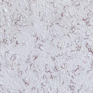 Tapete lichide Tako 02, 1 kg