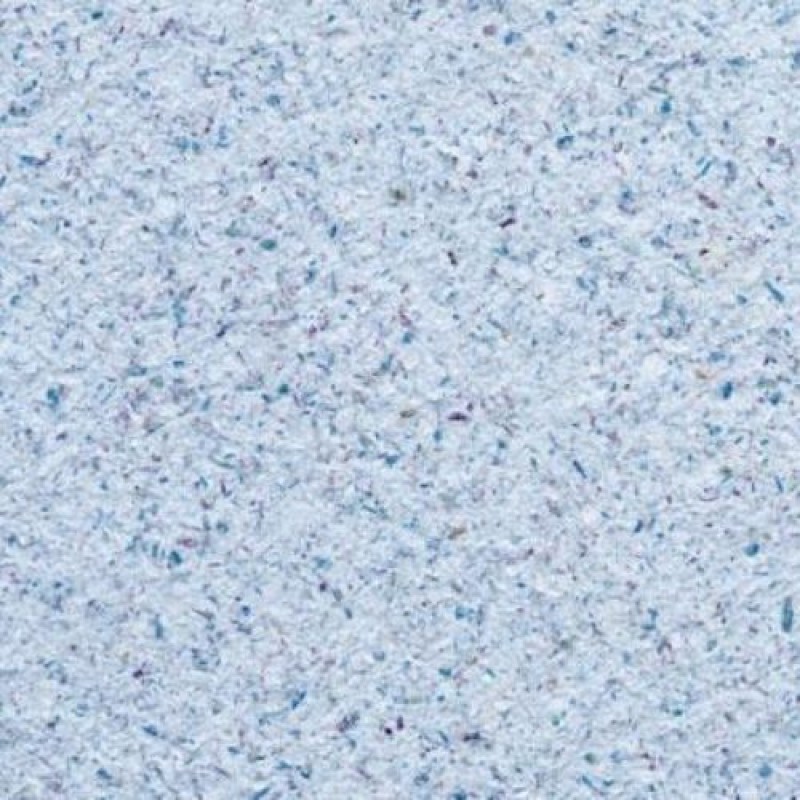 Tapete lichide Paradise 22, 1 kg