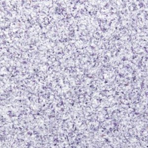 Tapete lichide Briz 4, 1 kg