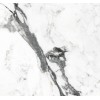 Gresie 60,8x60,8cm N. Rafaello