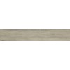 Gresie 20x120cm (F) N.Deck Natural