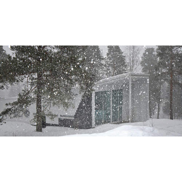 Краска-антисептик полуматовая для деревянных фасадов Vinha (база VС), 2,7л